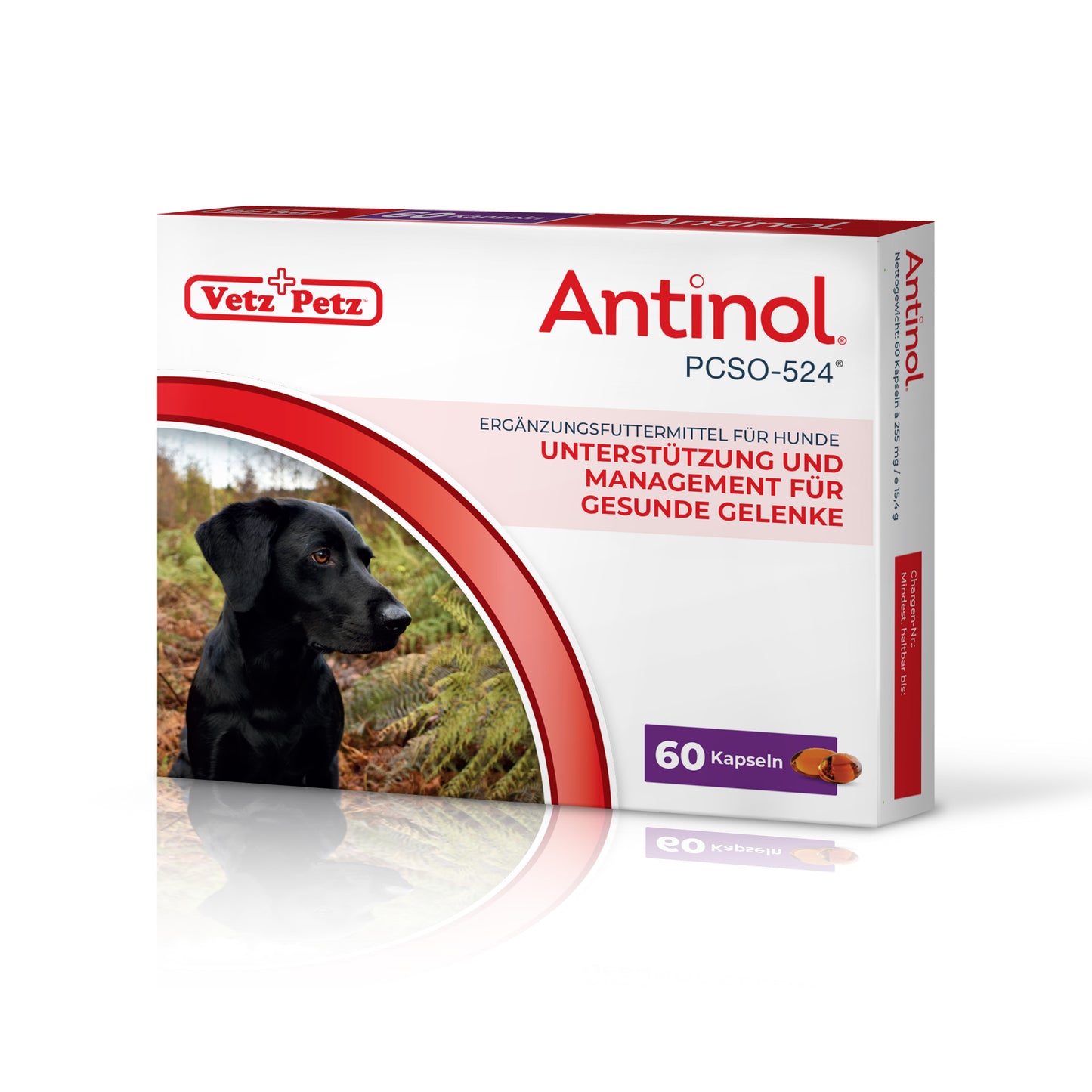 Antinol<sup>®</sup>️ für Hunde