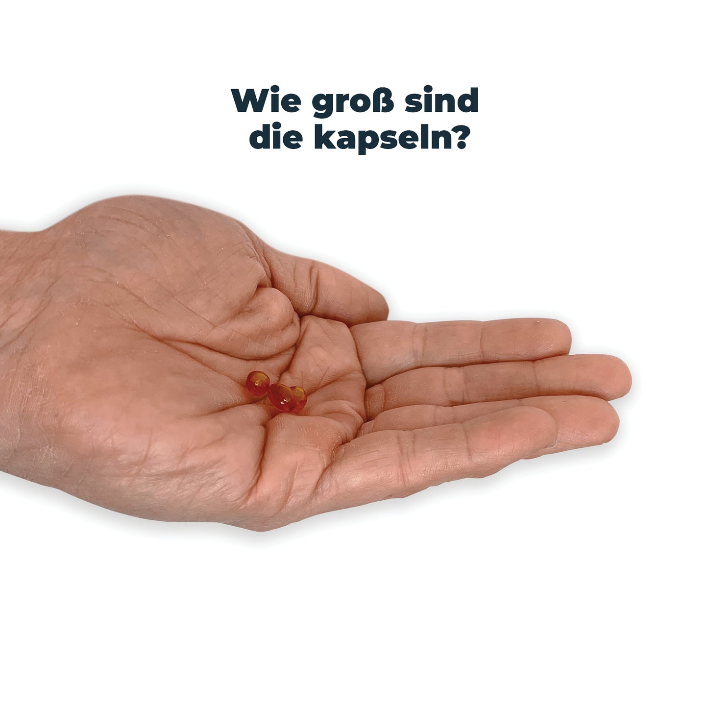 Antinol<sup>®</sup>️ für Katzen