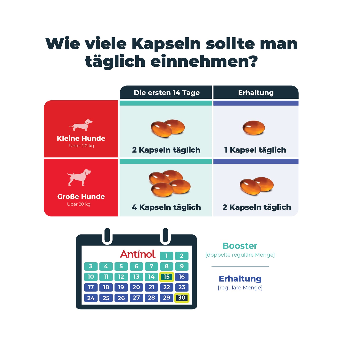 Antinol-Starter-Kit Kleine Hunde