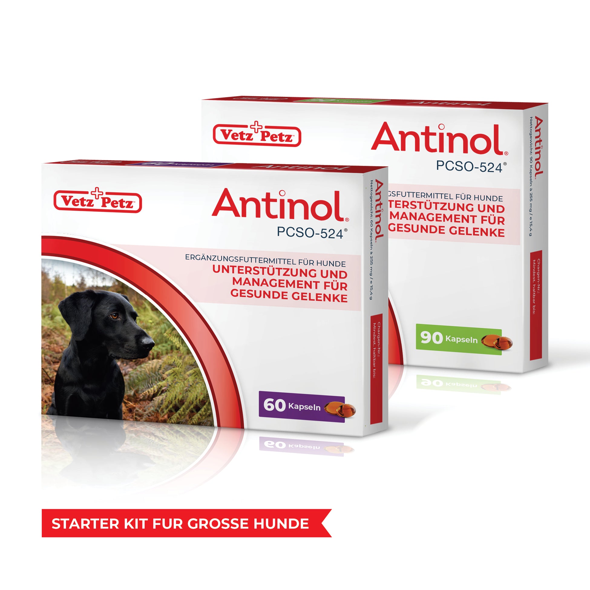 Antinol-Starter-Kit Großer Hund