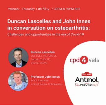 Duncan Lascelles und John Innes: Ein Gespräch über Arthrose bei Haustieren