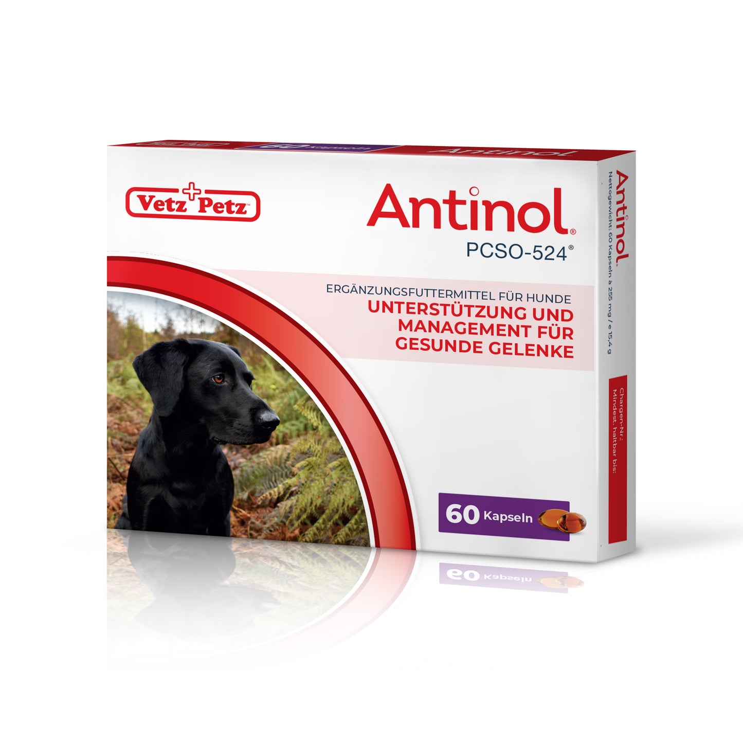 Antinol<sup>®</sup>️ for dogs