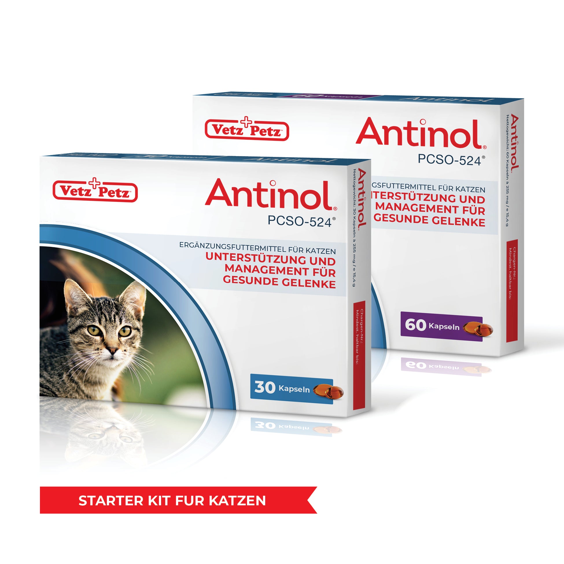 Antinol-Starter-Kit Katzen