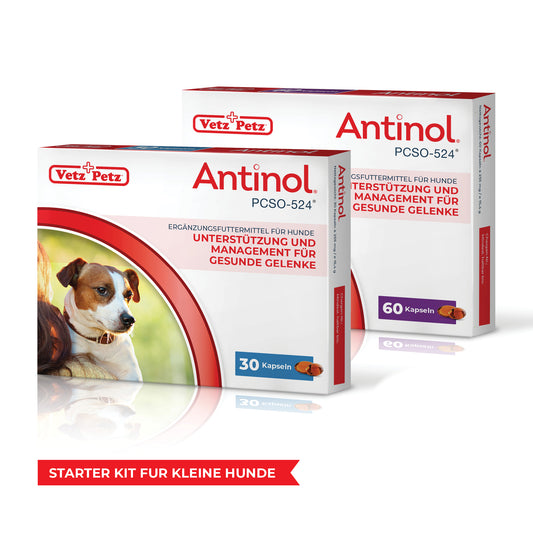 Antinol-Starter-Kit Kleine Hunde